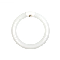 Fluorescent Bulbs