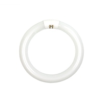 Circline 22W Fluorescent Bulb (Cool White)